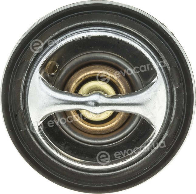 Motorad 483-91K