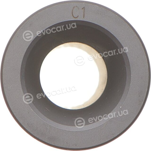 Mahle 039 PI 00128 002