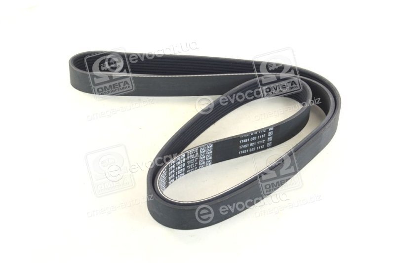 Dayco 7PK1629