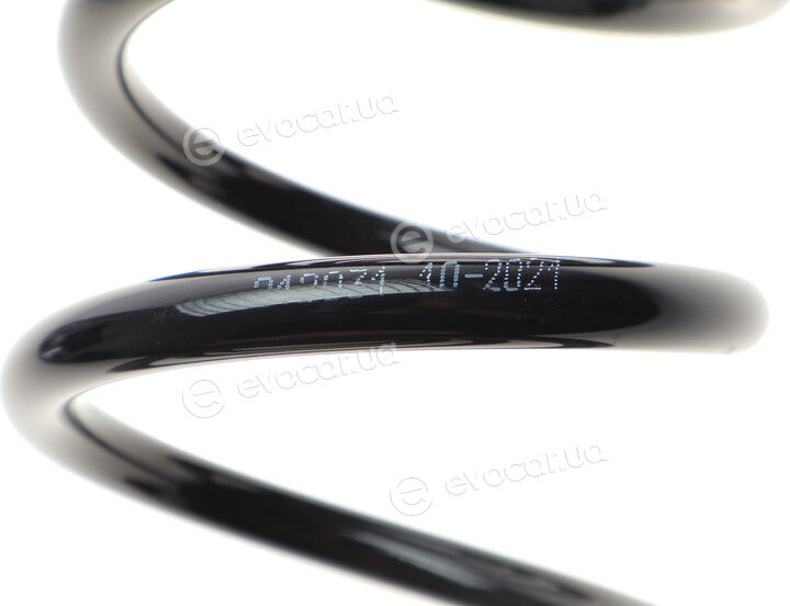 Solgy 212031