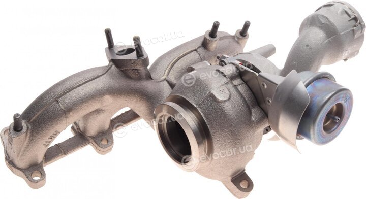 BorgWarner 54399880022