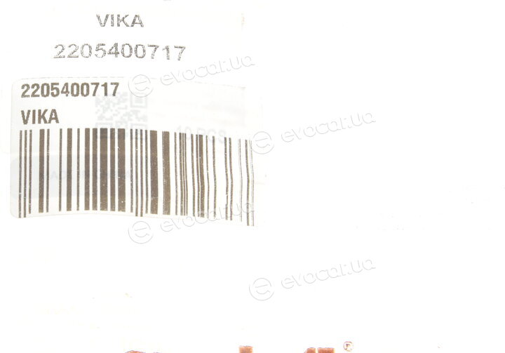 Vika 2205400717