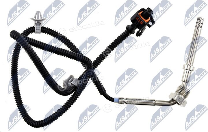 NTY EGT-PL-019