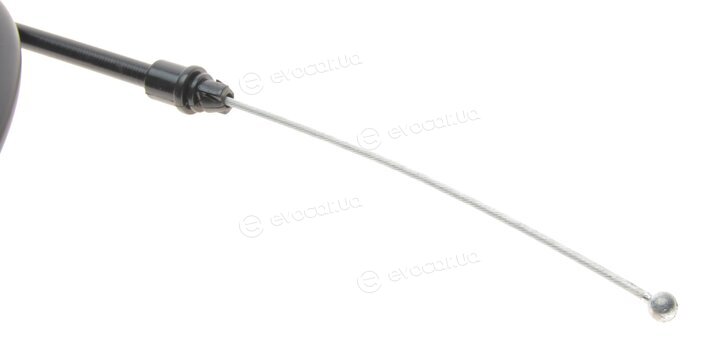 Bogap C3126121