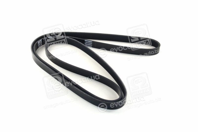 Dayco 5PK1850