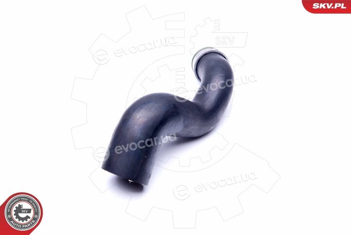 SKV 24SKV031
