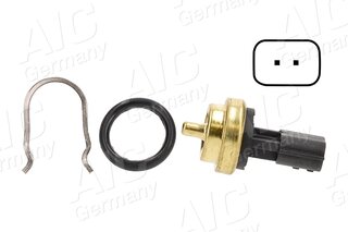 AIC 55131