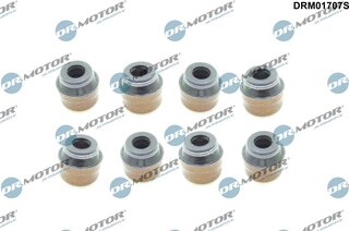 Dr. Motor DRM01707S