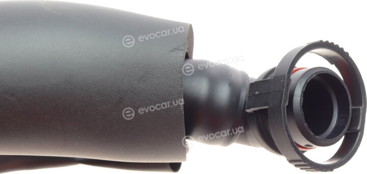 Bogap B1217119