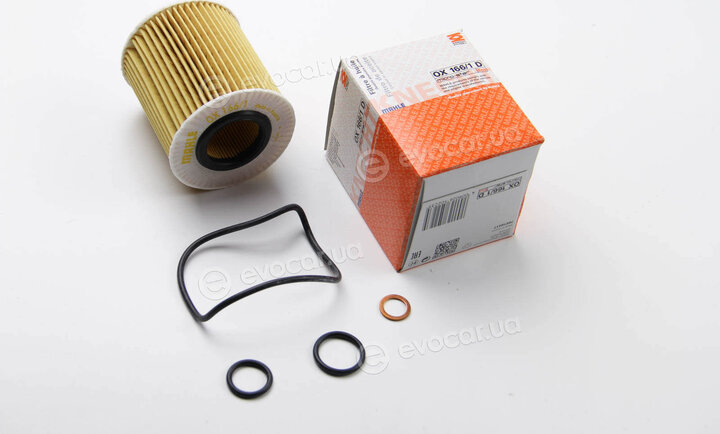 Mahle OX 166/1D