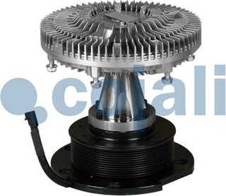 Cojali 7053802