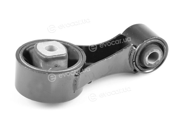 Tedgum TED52030