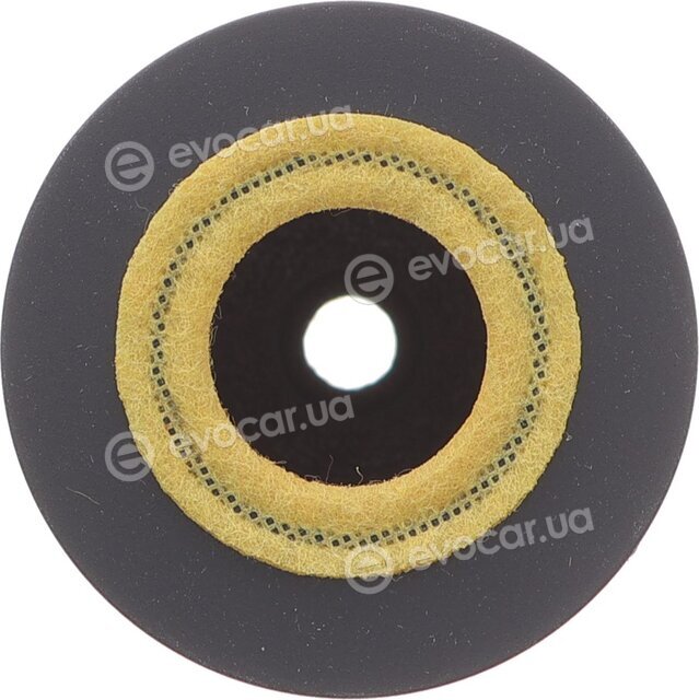 Solgy 101042