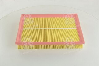 Champion CAF100689P