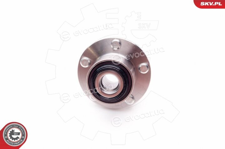 SKV 29SKV021