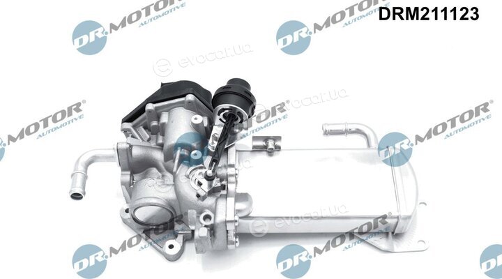Dr. Motor DRM211123