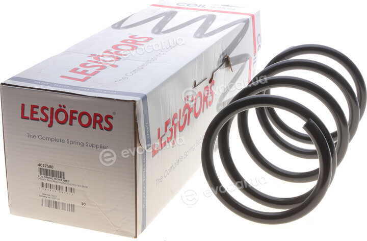 Lesjofors 4027580