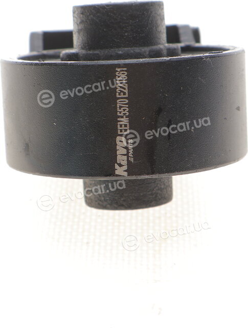 Kavo EEM-5570