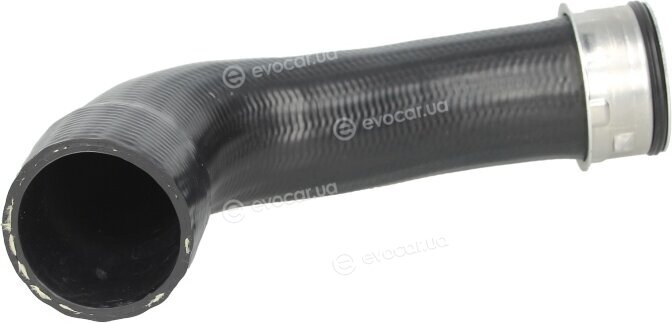 Thermotec DCW004TT