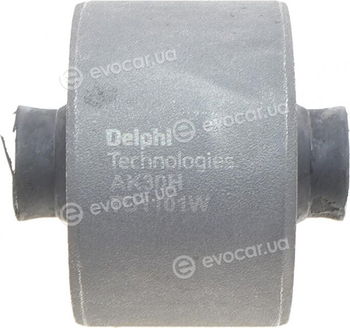 Delphi TD1101W