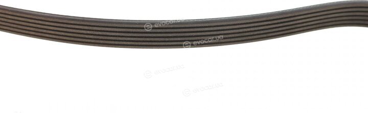 Blue Print AD06R2575