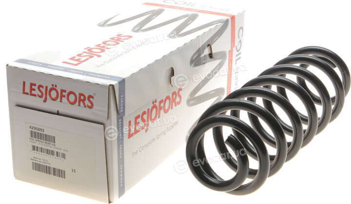Lesjofors 4295092