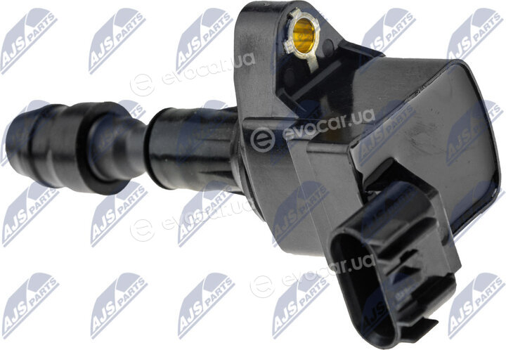 NTY ECZ-PL-010