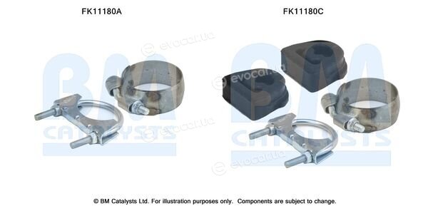 BM Catalysts FK11180