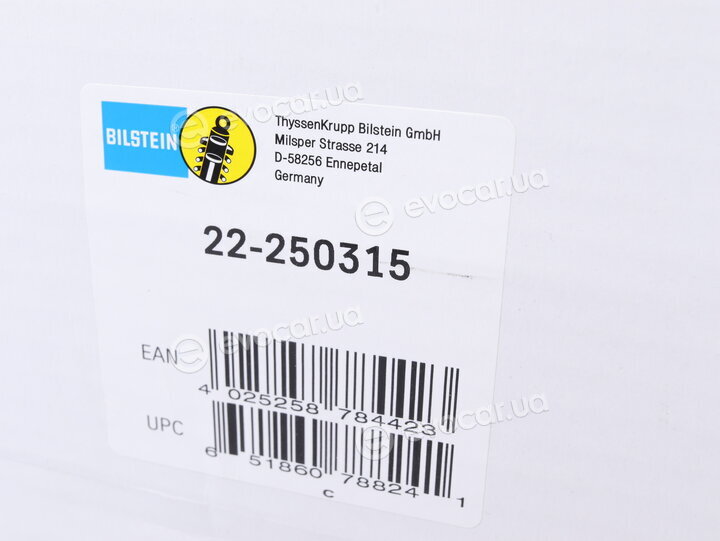 Bilstein 22-250315
