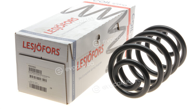 Lesjofors 4263461