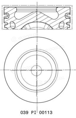 Mahle 039 PI 00113 002