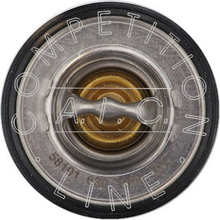 AIC 58101