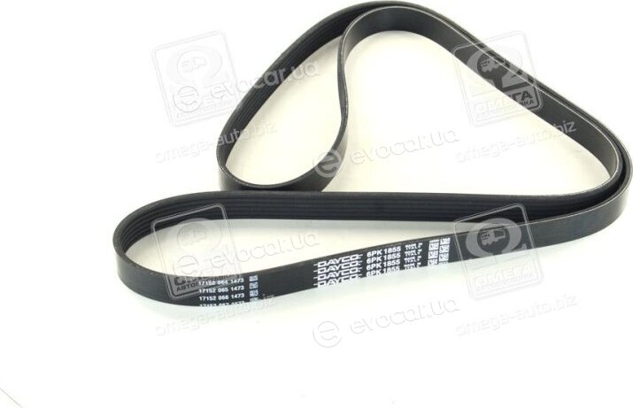 Dayco 6PK1855