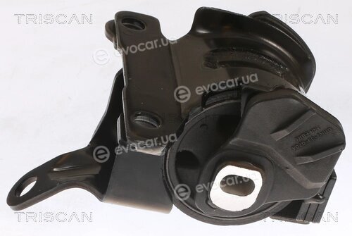 Triscan 8505 50100