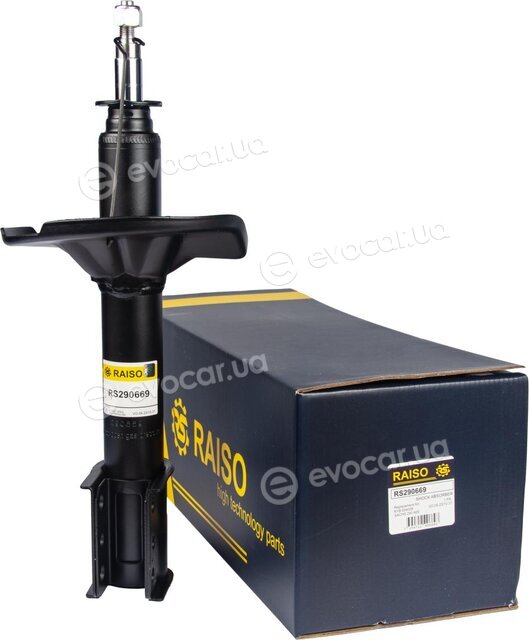 Raiso RS290669