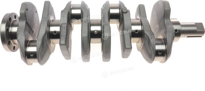 Motus MTS 0864