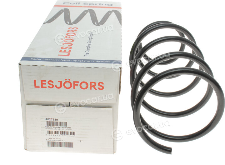 Lesjofors 4027529