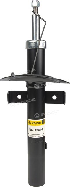 Raiso RS313446