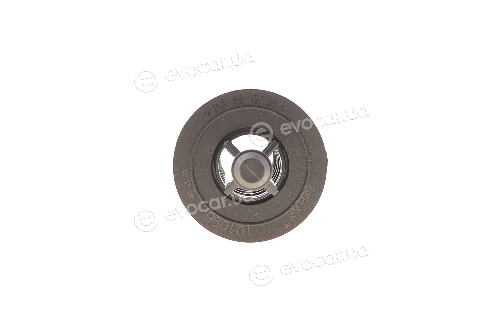 Solgy 101096