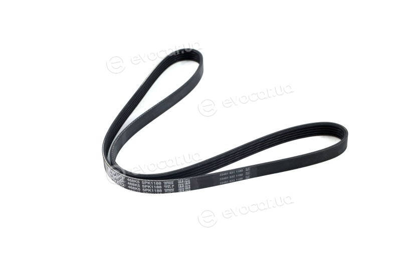 Dayco 5PK1188