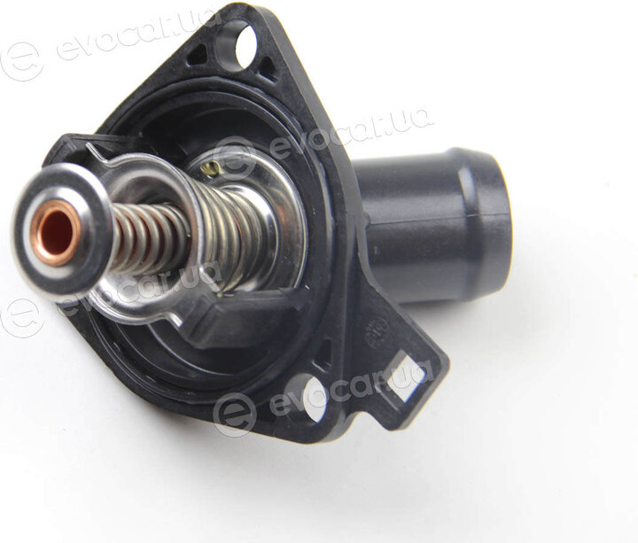 Motorad 636-77K