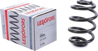 Lesjofors 4208445