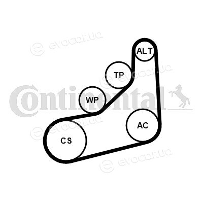 Continental 6PK1157 EXTRA K1