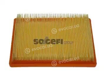 Coopers Fiaam PA7439