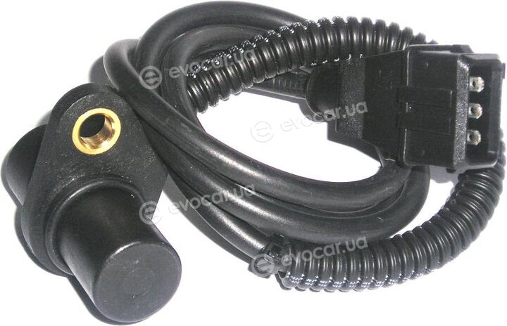 Starline ED STEM80