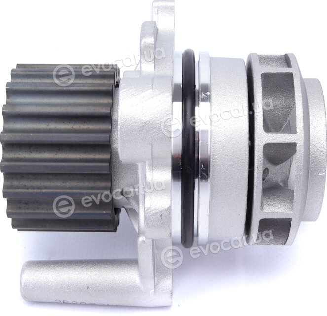 Dayco KTBWP2961
