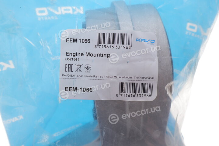 Kavo EEM-1066