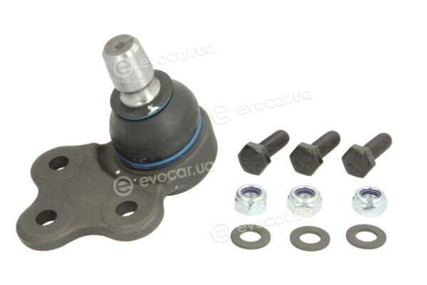 Reinhoch RH03-1007