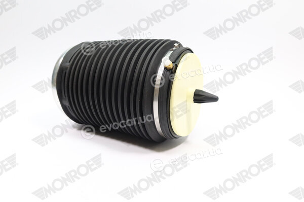 Monroe ASP019