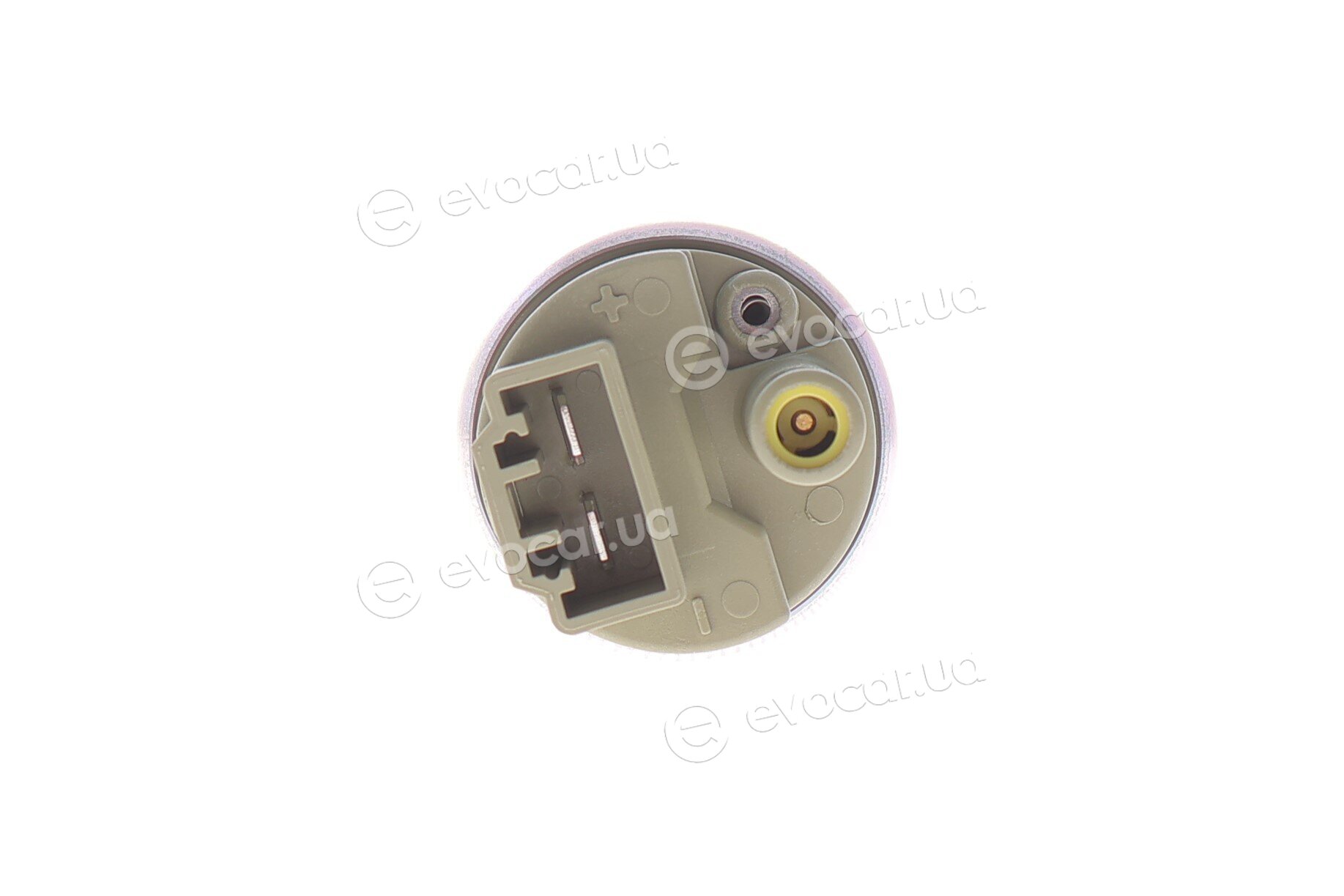 Magneti Marelli 313011300080